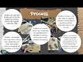 Cell Model Lab Assessment