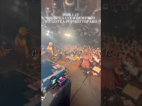 東名阪2マンツアーお待ちしてます！只今二次先行受付中 #プピリットパロ #邦ロック #音楽 #バンド #メロコア #japaneserock  #shorts #short