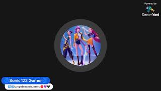 Sonic 123 gamer with his friends