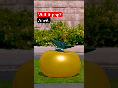 What pops a yoga ball? 🤔