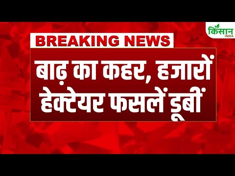 #BreakingNews:  कई इलाकों बाढ़ का कहर, 91 गांवों में घुसा नदी का पानी। Kisan India