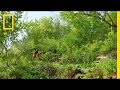 Community Resilience and Resource Management