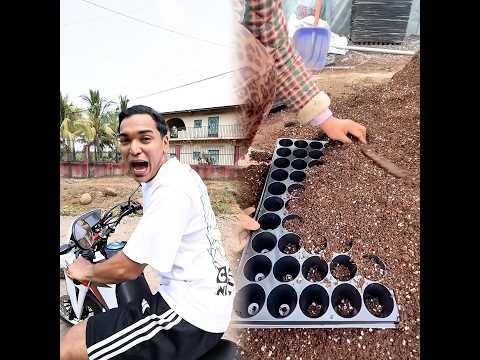 #funny #funnyvideos #fyp #pov #foryoupage #fypシ#foryou #viral #blowthisup #actingclass