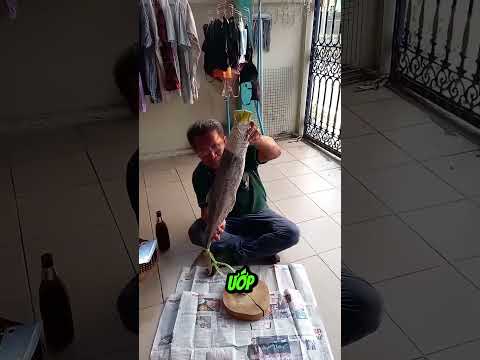 Cá tươi thành xác ướp nhờ muối và gió Thái #shorts