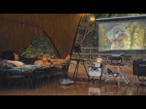 Solo Camping in Rain with My Dog . Cozy Tent Movie Theater . Relaxing Sound of Rain ASMR