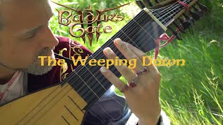 Hauptmann Flöte || Baldur's Gate 3 - The Weeping Dawn Lute & Vocal Cover
