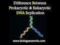Differences in Prokaryotic and Eukaryotic DNA Replication