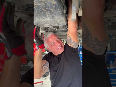 This Kitten Was Stuck In A Mercedes Engine! #shorts #cat #kitten #mercedes #mechanic