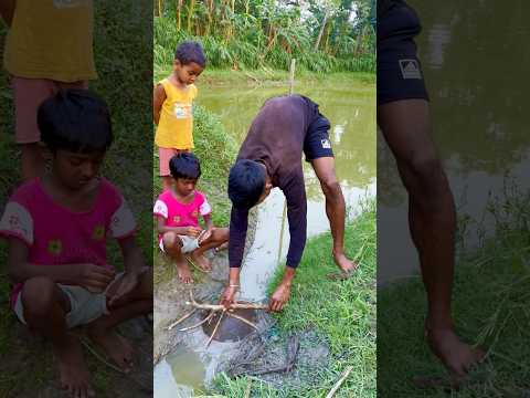 মাগুর মাছ ধরার নতুন ফাঁদ তৈরী করলাম 🐟🙂(399) village fishing trap || #fishingtechniques