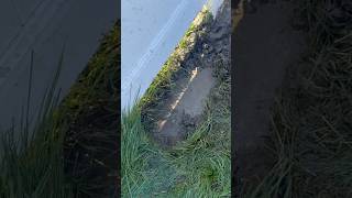 How to eliminate water from your neighbors flooding your yard