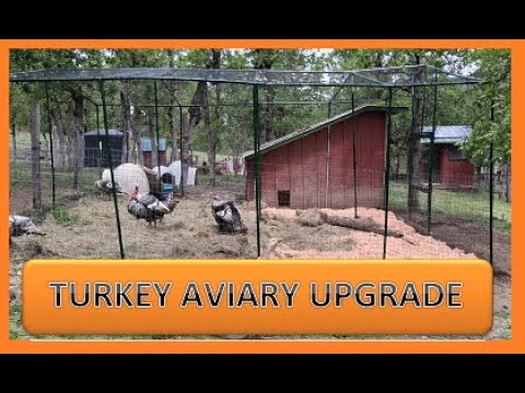 TURKEY AVIARY UPGRADE