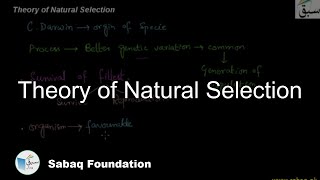 Theory of Natural Selection