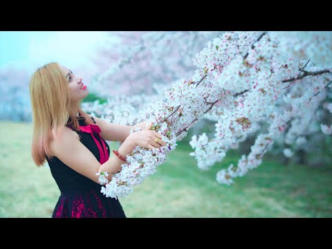 Manai Bhari Sajaula - Dawa Tamang (Official MV) Ft. Rajkumari Tamang