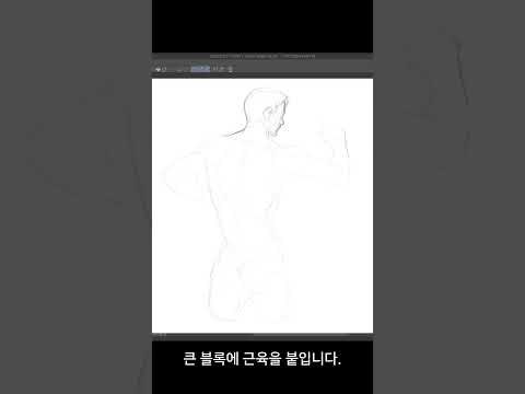 남자 몸통 뒤 채색 시범 - 오쌤인체해부학(Anatomy Teacher O)-how to draw a torso?#shorts