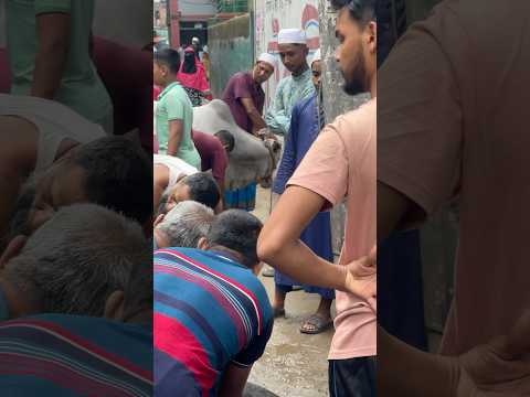Qurbani #shorts #shortvideos