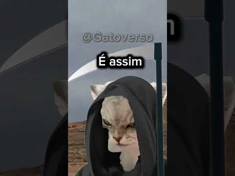 AMOSTRADINHO - ( Versão Gatos )