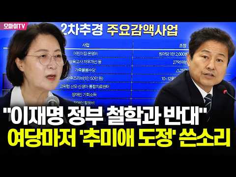 [현장] "이재명 정부 <strong>철학과</strong> 반대" 여당 김영배마저 쓴소리한 '추미애 도정'
