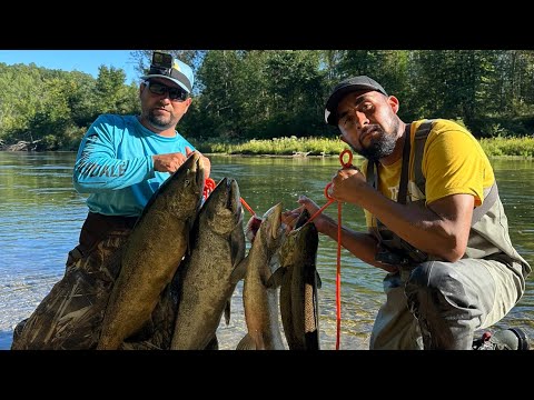 Ultimo Video De Pesca De Salmon Pesca Y Cocina