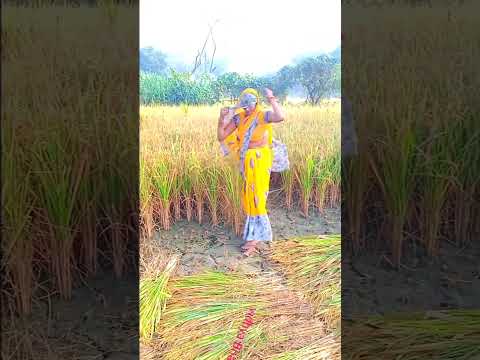 मजा आ गया vidhya Bhauji #shorts#shortsvideo #youtubshorts