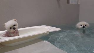 動画サムネイル