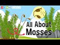 Understanding Mosses