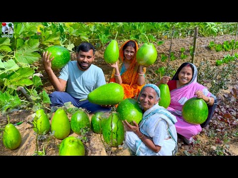 বাগান থেকে 42 kg কেজি টাটকা লাউ তুলে ঠাকুমার পছন্দের লাউ চিংড়ি রান্না | Garden fresh gourd recipe