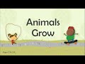 Young Animals and Their Characteristics