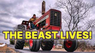 Getting the Farmall 756 Running Again After Fuel & Injection Pump Problems