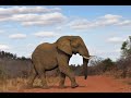 ビデオチュートリアルクイズ