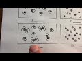 Elements, Compounds, and Mixtures: A Comprehensive Overview
