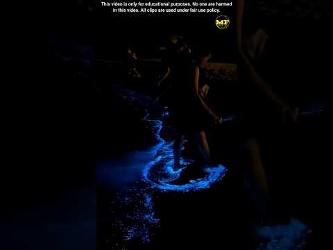आख़िर ये नीले रंग की क्या चीज हे 😱| #shorts #viral #facts