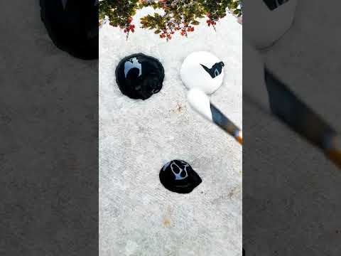 🖤black + 🤍 white colour mix🎨#diy #art #art #shortvideo #shorts