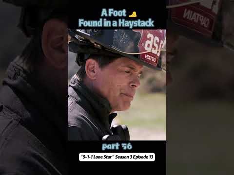 A Foot Found in a Haystack! 🦶【Part 56】