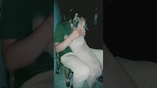 Animals Vs.  Humans (Love/Emotions/Stress/companionship)  Compas!