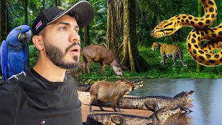 El lugar más SALVAJE de BRASIL: PANTANAL 🇧🇷