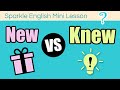 Understanding 'New' and 'Knew'