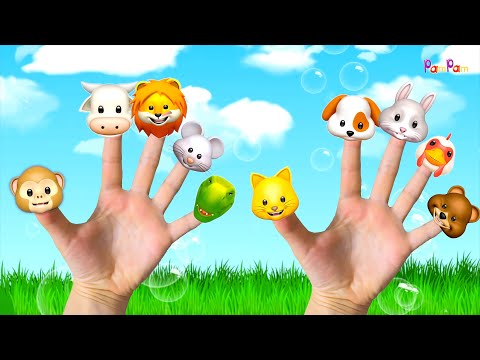 Kedi Parmak Miyav - Köpek Parmak - Hayvanları Öğreniyoruz -PamPam Family Nursery Rhymes & Kids Songs
