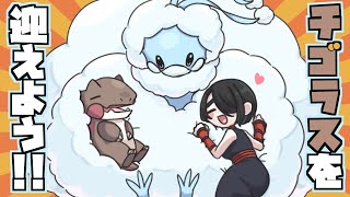 【ポケモンXY】チゴラスを迎えに行こう！！ #伊東ライフ