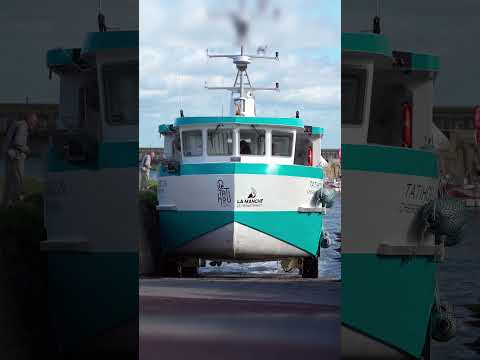 Boat Driving into the Ramp: Fail or Perfect Docking?
