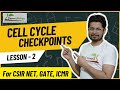 Cell Cycle Checkpoints and Phases