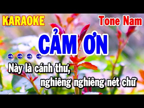 Cảm Ơn Karaoke Tone Nam Nhạc Sống Beat Chuẩn 2025 | Thanh Hải