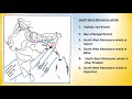 Monsoon Winds in India