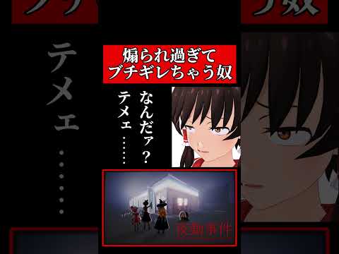 煽られ過ぎてブチギレちゃう奴 #夜勤事件 #ヴンダーちゃんねる #RIZIN