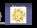 Molecular Biology Concepts and Processes