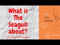 The Seagull: Key Plot and Character Insights