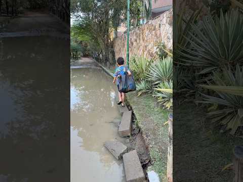 E AGORA, O QUE VAMOS FAZER? #shortsfeed #shortsfunny #funny