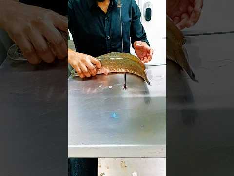 Giant Amazing Live Shoal Fish Cutting Skills Show #shortsvideo #shorts #youtubeshorts #fish #shoal