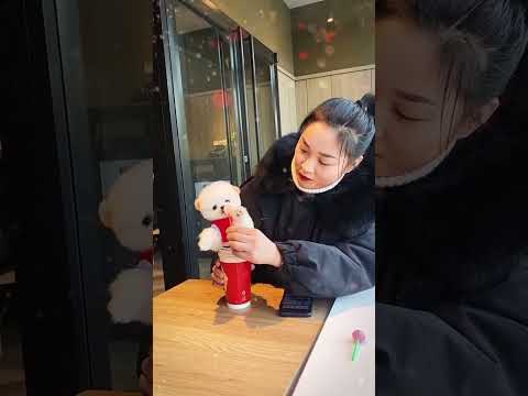 🥰🐶🥰 मिलो बेहद क्यूट और सुंदर से पप्पी से 🥰🐶🥰#trending #shortvideo #cute #puppy