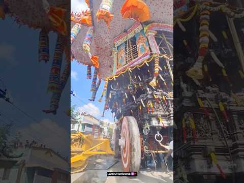 Biggest Yatra Of Universe Day 37 🕉️🔱🚩💯 #shorts #mahadev #jagannath #jaishreeram #shortsfeed