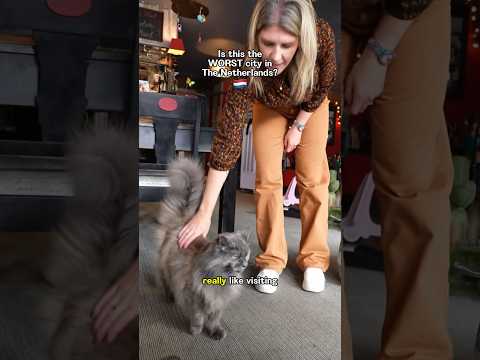 Everyone HATES this Dutch city? 🇳🇱 #americansinthenetherlands #travelvlog #thenetherlands